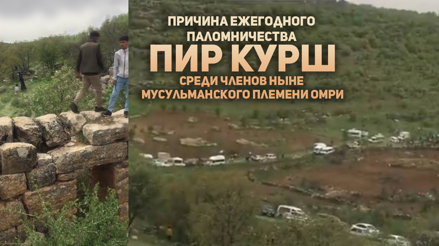 Пир Курш и племя Омри